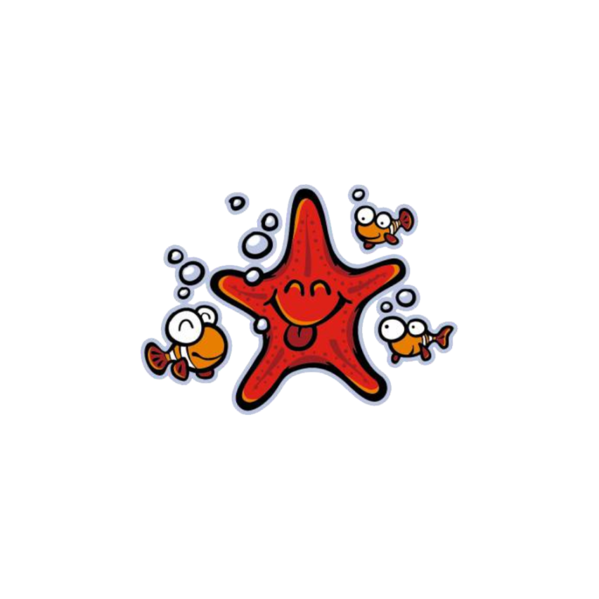 ESTRELA DO MAR 16X12CM