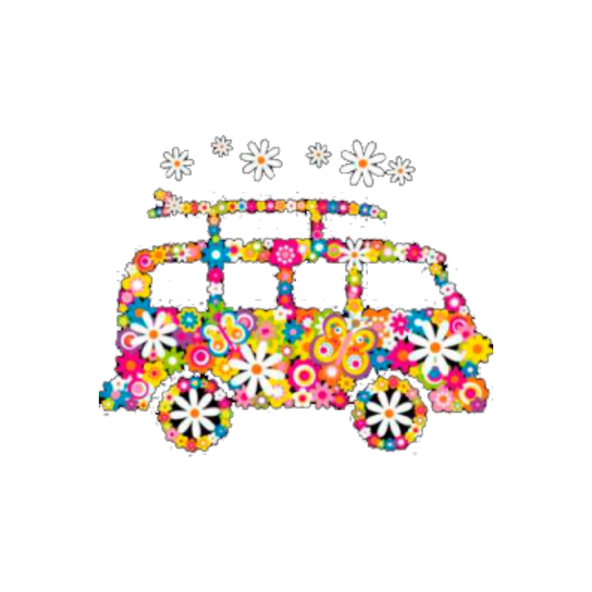 FLOWER SURF VAN 20X16CM